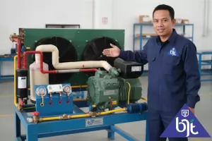 Harga jual cold storage room di Ngawi